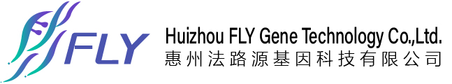 Huizhou FLY Gene Technology Co.,Ltd. 惠州法路源基因科技有限公司